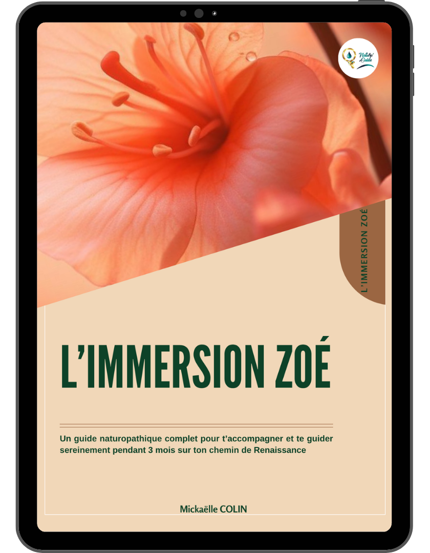 Immersion ebookv2